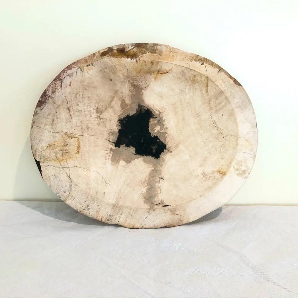West Elm Large Petrified Wood Tray Home Decor Black Cream Oval Catchall